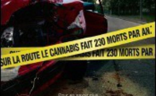 Une première campagne contre le cannabis au volant a été lancée mercredi par la Sécurité routière et la Mission interministérielle de lutte contre la drogue et la toxicomanie (Mildt) sur le thème: "cannabis et conduite = danger".