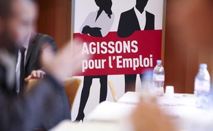 Forum pour l'emploi à Toulouse le 4 février 2013.