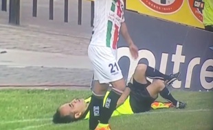 Capture d'écran de la simulation d'arbitre au Chili