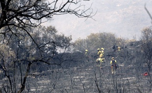 Feu de forêt au Portugal (illustration)