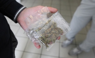 Des dealers dans un hall d'immeuble. Illustration