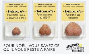 Dans leur dernière campagne de communication, les Jeunes écologistes d'Ile-de-France voulaient d'offrir «une paire de couilles» à François Hollande