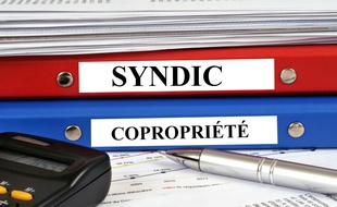 Les mandats du syndic de copropriété et du conseil syndical sont prolongés exceptionnellement en raison de la crise sanitaire.