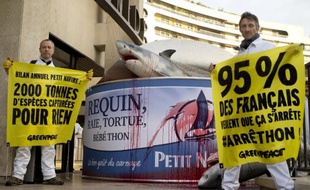 Des militants de l'organisation Greenpeace devant le siège de la société Petit Navire le 30 octobre 2014 à Paris