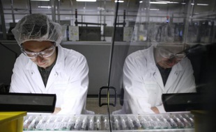 L'usine de Sanofi Pasteur, le 26 novembre 2012 à Val-de-Reuil, dans l'Eure