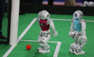 Robots de l'équipe allemande Nao Team à la RoboCup. Iran, 8 avril 2015.