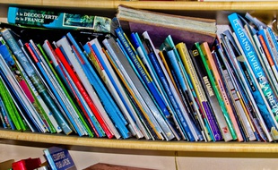 Dans une bibliothèque (illustration)