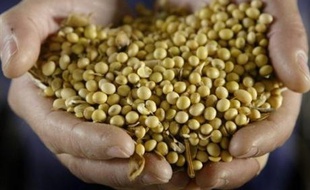 Le groupe agrochimique américain Monsanto a révisé nettement à la hausse ses objectifs de résultats pour 2008, grâce à ses semences génétiquement modifiées et aux herbicides, et s'est dit en avance sur son plan stratégique à objectif 2012, selon un communiqué publié mardi.