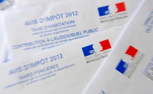 Seuls 5,1% des Français ont choisi un taux d'impôts individualisé.