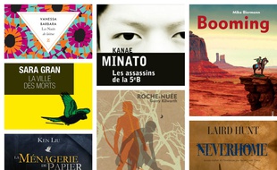 Sept coups de coeur de libraires à offrir à Noël