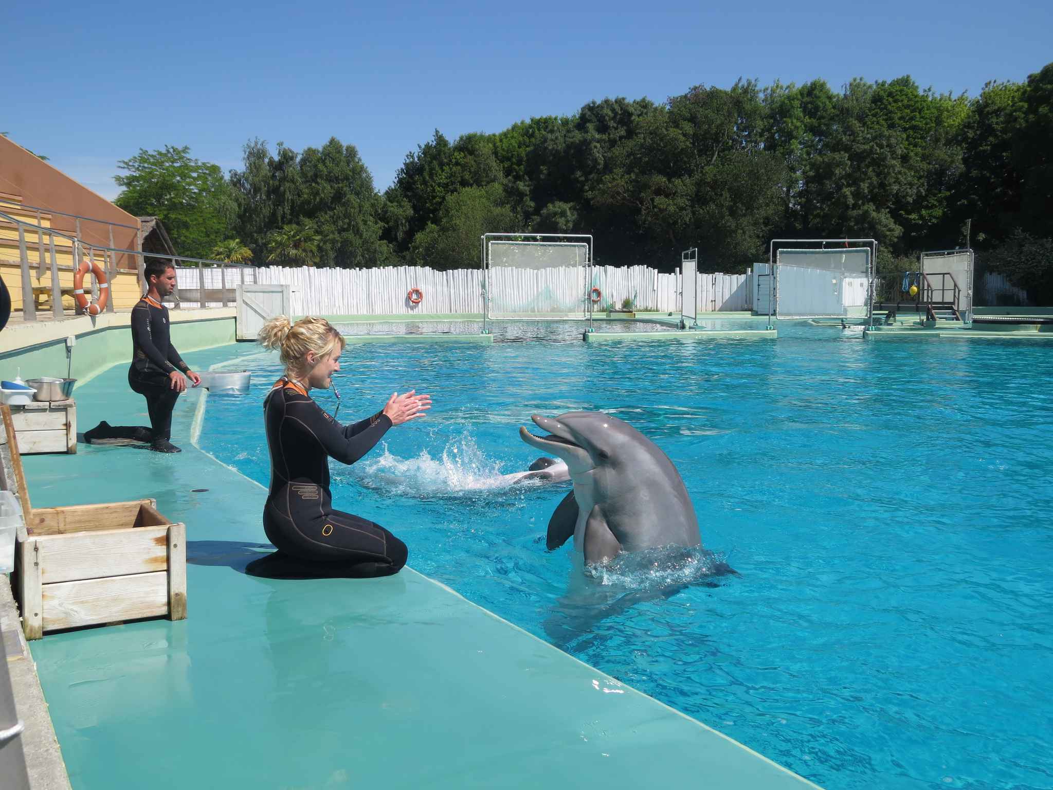 rencontre avec les dauphins marineland forum