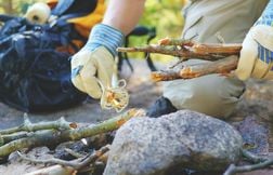 Six jeunes pris de malaises étranges dans un camp de scouts