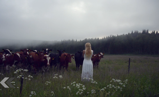 La jolie Jonna Jinton et des vaches très jolies également