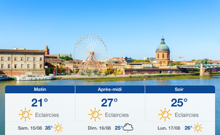 Météo Toulouse: Prévisions du vendredi 14 août 2020