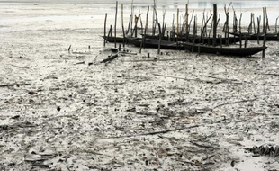 Des bateaux de pêcheurs Bodo, abandonnés dans les eaux polluées par d'importantes fuites de pétrole, à Ogoniland dans le delta du Niger, le 11 août 2011