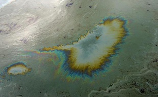 Une fuite de pétrole dans l'Ogoniland, au coeur du delta du Niger, le 11 août 2011
