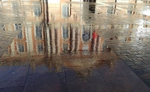 Le reflet de la façade du Capitole dans une flaque d'eau.