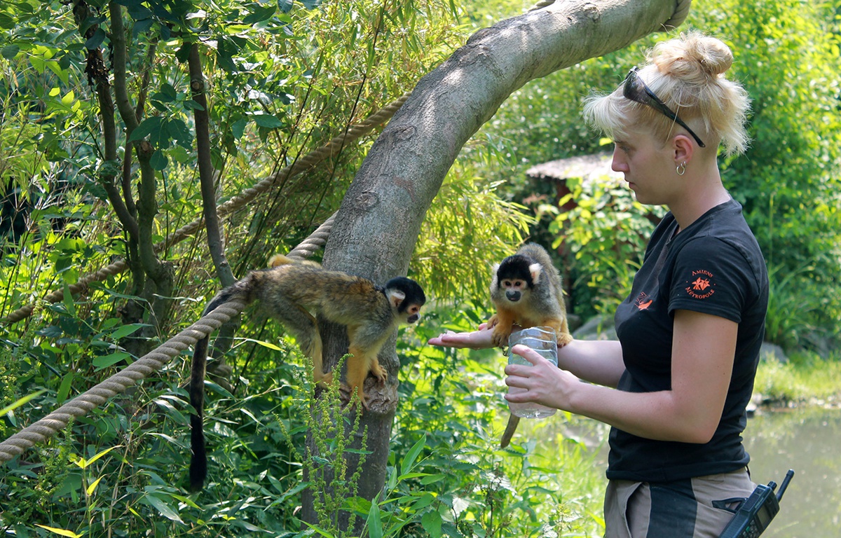 Lycée Professionnel Saint Joseph Bucquoy Soigneur Animalier Pas-de-Calais: Un lycée va proposer une formation de soigneur animalier