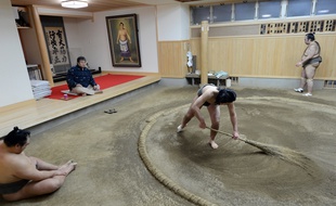 Un jeune lutteur de sumo balaie le dohyo lors d'un entraînement à la Otake-beya, en février 2013.