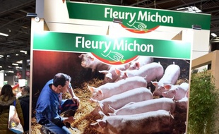 Illustration de lasociété Fleury Michon
