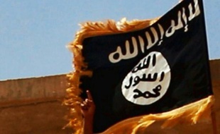 Le groupe Etat islamique (EI) a capturé un pilote syrien après avoir abattu son appareil à l'est de Damas, a rapporté vendredi soir l'agence d'information Amaq