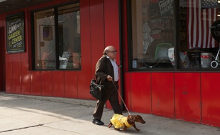 Danny DeVito dans Le Teckel de Todd Solondz
