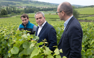 Xavier Bertrand en campagne.