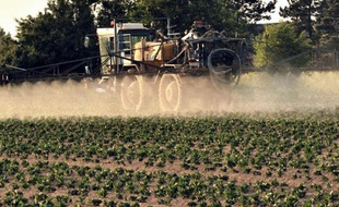 Pulvérisation de pesticides sur un champ de pommes de terre, le 30 mai 2012 à Godewaersvelde, dans le département du Nord