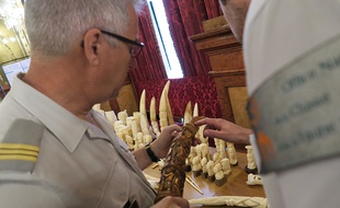 Une destruction d'objets en ivoire avait été organisée en mai dernier, à Antibes