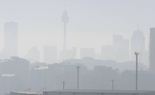 Sydney dans le brouillard à cause des incendies qui dévastent la côte est de l'Australie, le 19 novembre 2019.
