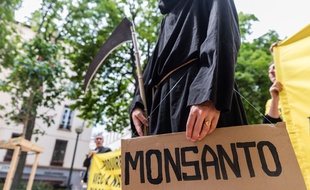 Un manifestant contre Monsanto