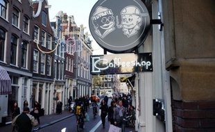 Les propriétaires de 19 coffee shops des Pays-Bas avaient saisi le 18 avril la justice néerlandaise pour que la "carte cannabis" ne soit pas introduite, mais leur requête en référé avait été rejetée vendredi par le tribunal de La Haye.