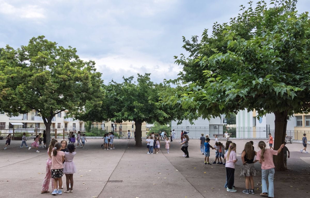 Une reprise des cours à la mi-août en 2026 plutôt que début septembre ? C'est faux (pour le moment)
