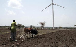 Un agriculteur éthiopien laboure son champ au pied d'une éolienne sur les hauteurs d'Adama, au sud d'Addis Abeba, le 15 juin 2015
