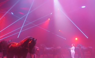 Dernières répétitions au cirque Arlette Gruss, le 14 janvier 2015 à Bordeaux