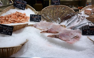 Image d'illustration d'un étal de poissonnier.