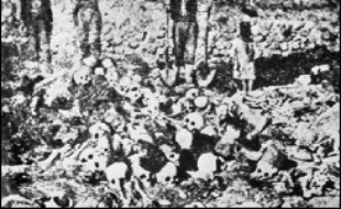 La Turquie rejette catégoriquement la thèse d'un génocide, estimant qu'il s'agissait d'une répression dans un contexte de guerre civile où les Arméniens se sont alliés aux troupes russes qui avaient envahi l'empire ottoman.