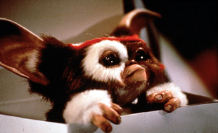 Les Gremlins reviennent dans une série animée.