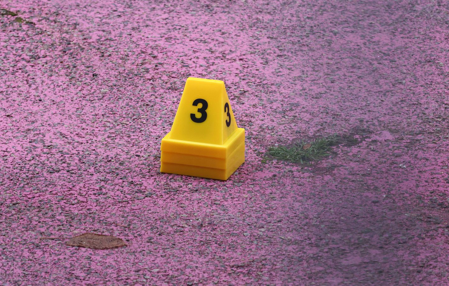 Un homme incarcéré après que son compagnon a été retrouvé mort dans le Nord France Alerte