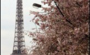 Les Français sont invités à se plonger cinq minutes dans l'obscurité jeudi entre 19h55 et 20h00 pour une action symbolique en faveur de la lutte contre le changement climatique marquée par l'extinction de la Tour Eiffel, et qui pourrait faire des petits à l'étranger.