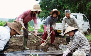 Des wwoofeurs dans une ferme bio au Japon, en juillet 2009.