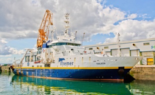 La Thalassa, le bateau scientifique de l'Ifremer, à quai à Brest.