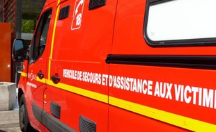 Finistère: Un enfant de 5 ans meurt écrasé par un arbre (Illustration)