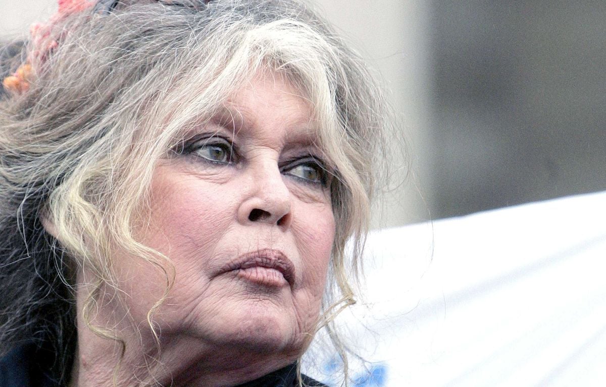 Brigitte Bardot est sortie de l’hôpital après une intervention chirurgicale