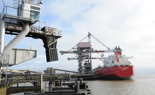 Le port de Nantes Saint-Nazaire, ici à Montoir-de-Bretagne.
