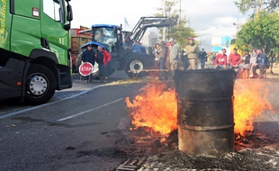 Les agriculteurs ont notamment bloqué ce lundi matin un pont reliant Kehl (Allemagne) à Strasbourg. ULI DECK