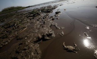 Les effets d'une marée noire sur une plage d'Ocean Springs, dans le Mississippi, le 17 avril 2011