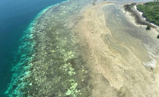 Le blanchiment de la Grande Barrière de corail au large du Queensland australien est une des conséquences les plus préoccupantes du réchauffement climatique. (image d'illustration)