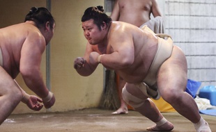 Un combat de sumo. Image d'illustration.