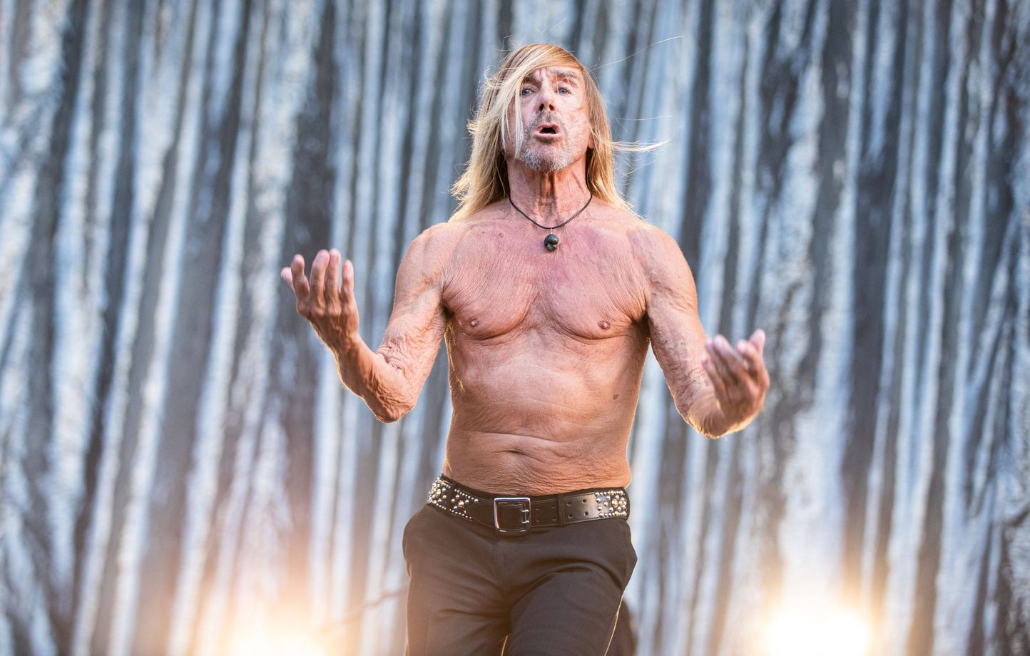 Iggy pop concerts 2025 2020